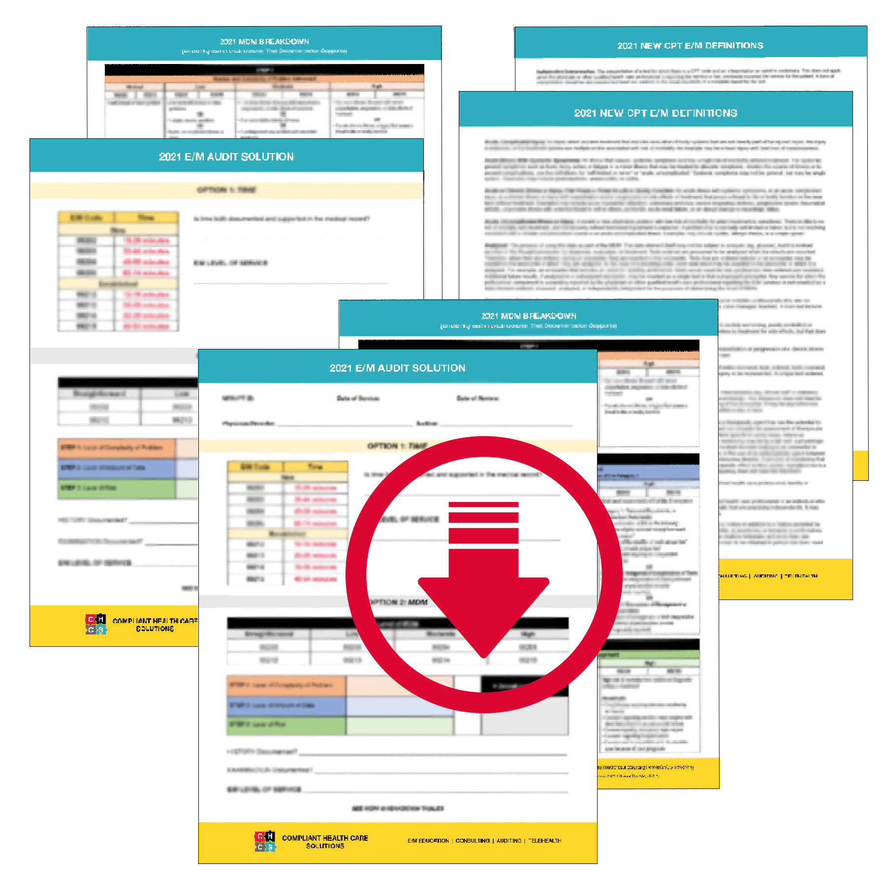 Big Audit Bundle - Audit Solution + Definitions + Audit Solution Worksheet Digital Download