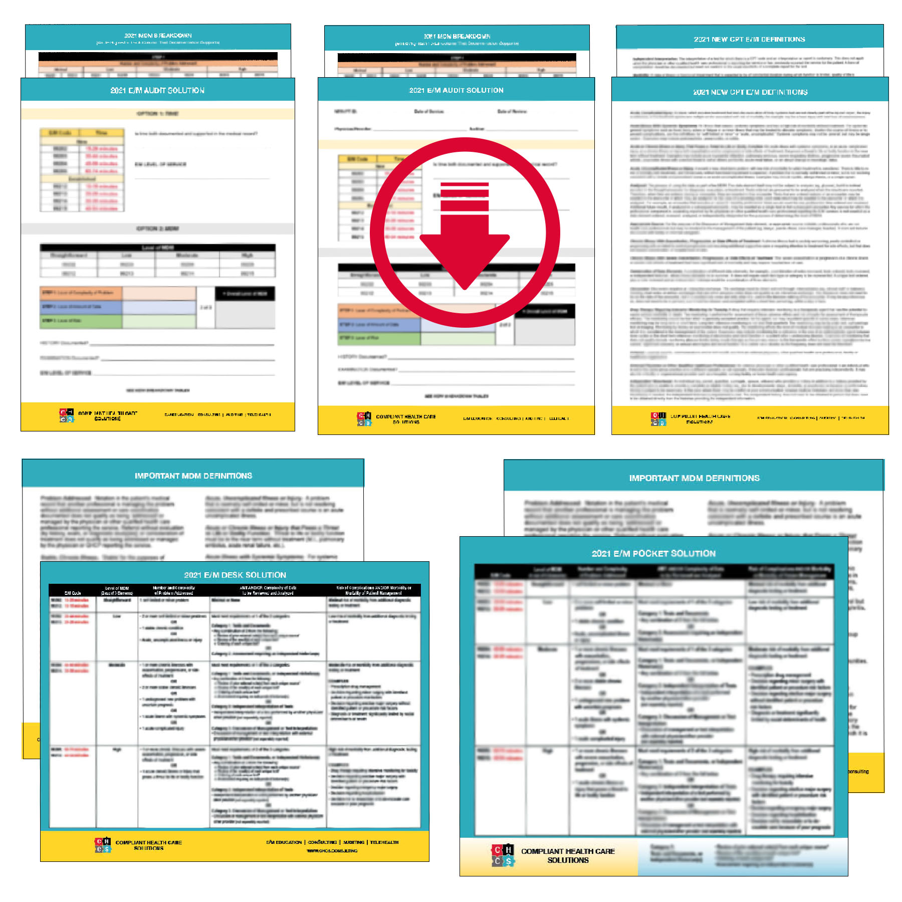 Full Bundle – Audit Solution + Definitions + Pocket Solution + Desk Solution + Audit Solution Worksheet Digital Download