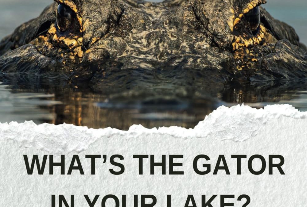 What’s the Gator in Your Lake?: Navigating Life’s Unexpected Chomps
