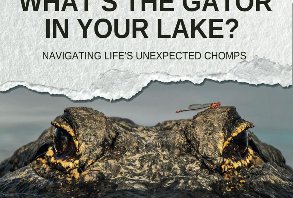 AMBA National Conference